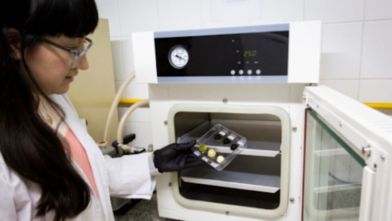 El equipo buscó que el producto sea viable, estético y que cumpla con todas las propiedades mecánicas, físico-químicas y farmacotécnicas.