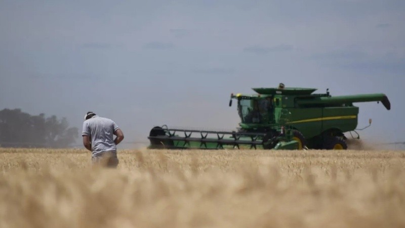 La campaña de cosecha gruesa comienza con asimetrías regionales y riesgos productivos focalizados.