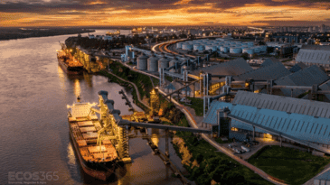 El aporte del sector agroexportador sufrió una fuerte caída en febrero.