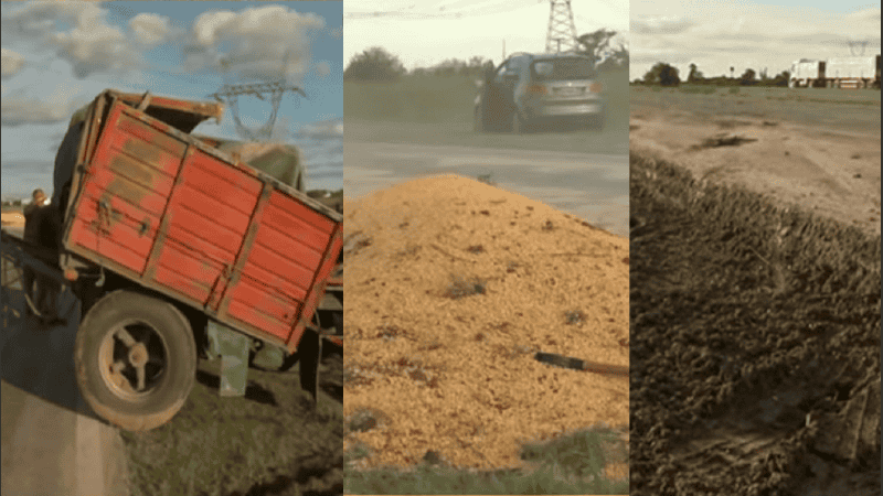 El chasis volcado, el cereal junto a la autopista, y la banquina de gran altura.