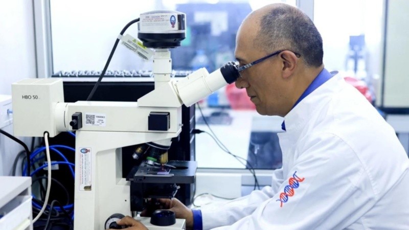 Contar con el gen mutado del NFKB1 disminuido, hace que la reacción inflamatoria ante la falta de oxígeno 