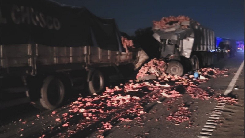 Dos camiones chocaron hoy en la ruta 9 camino a Buenos Aires.