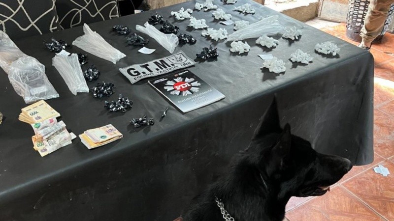 Kenzo, el perro antinarcóticos, en plena labor.