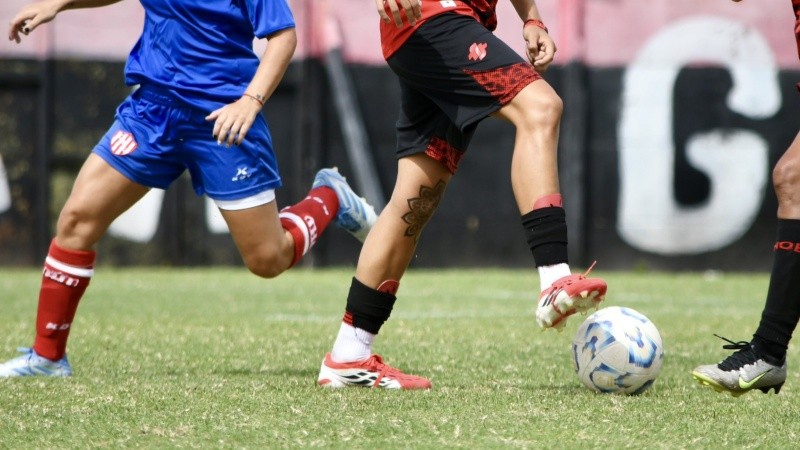 El año se dividirá en dos certámenes independientes: el Torneo Apertura 2026 y el Torneo Clausura 2026.