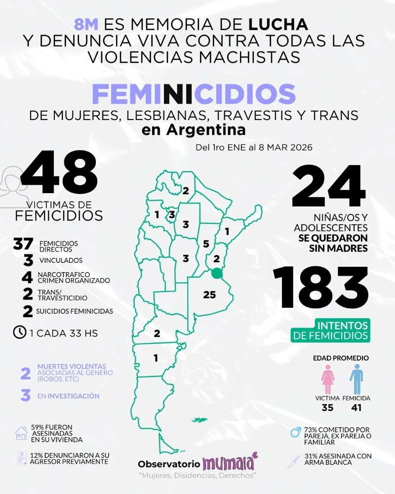 &nbsp;Los números en rojo sobre la violencia machista en Argentina.
