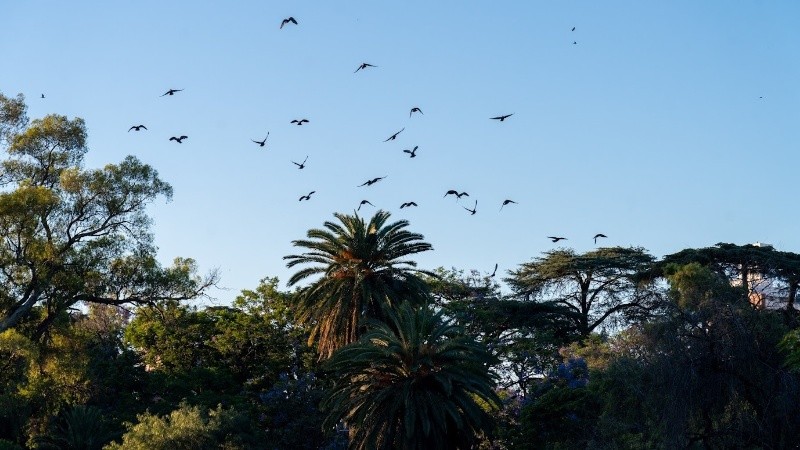 Tiempo clima soleado calor