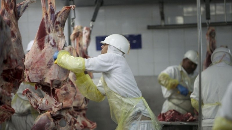 Los precios de la carne aumentaron un 60% en promedio durante los últimos cinco meses.