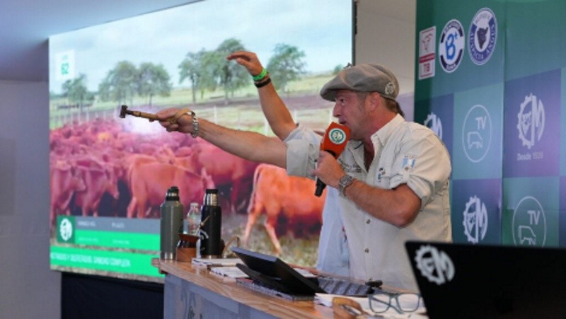 &nbsp;Los remates ganaderos batieron récords.