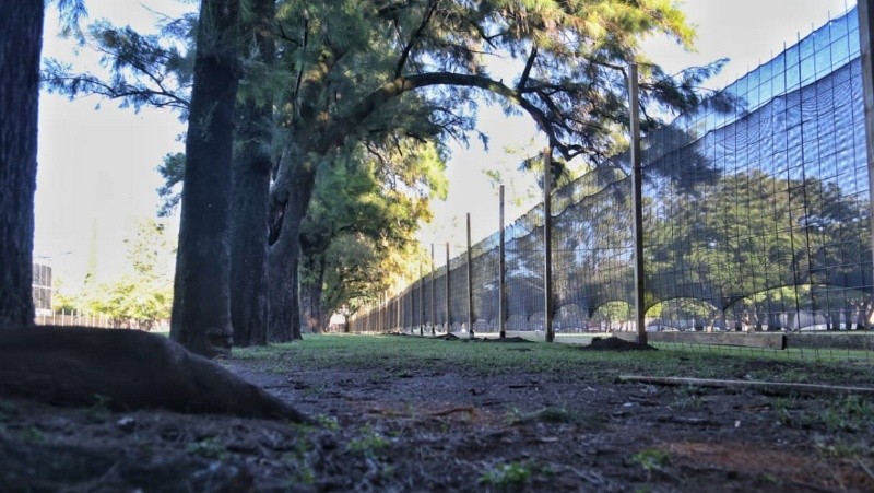 Las obras al lado del Isef (Alan Monzón)&nbsp;&nbsp;