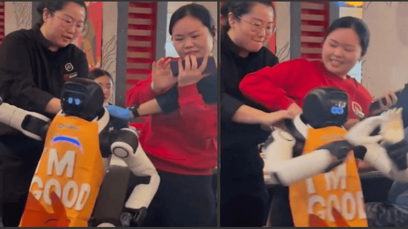 El robot comenzó a destruir la vajilla y a lanzar objetos por los aires.