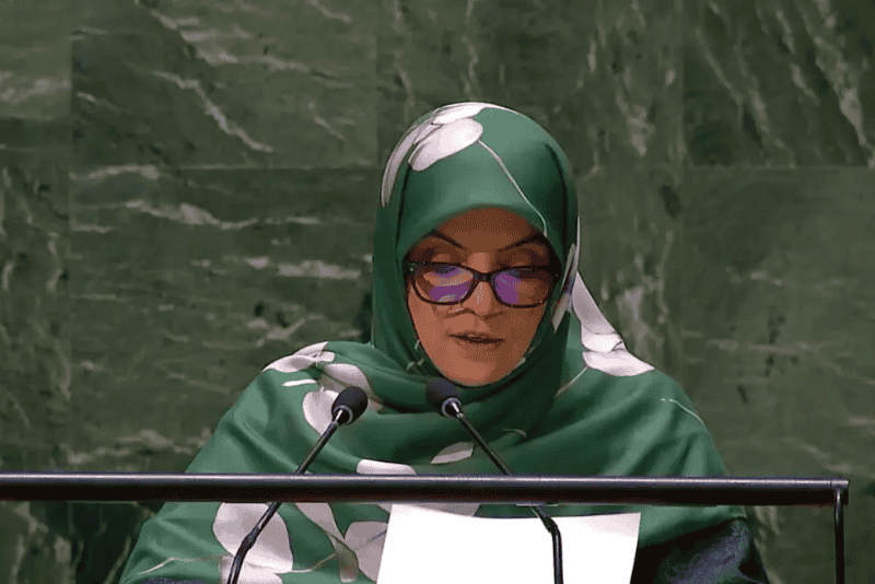 Zahra Ershadi, asesora del canciller Abbas Araghchi y directora para las Américas de la Cancillería iraní (@TehranTimes79)