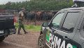 Los Pumas lograron encontrar parte de las vacas robadas.