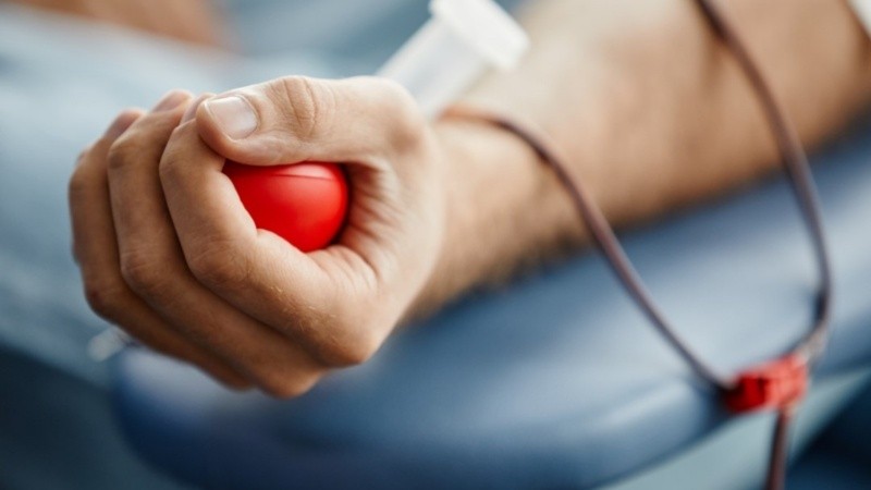 El anuncio fue presentado por Gerrit Lösch, miembro del Cuerpo Gobernante de los Testigos de Jehová