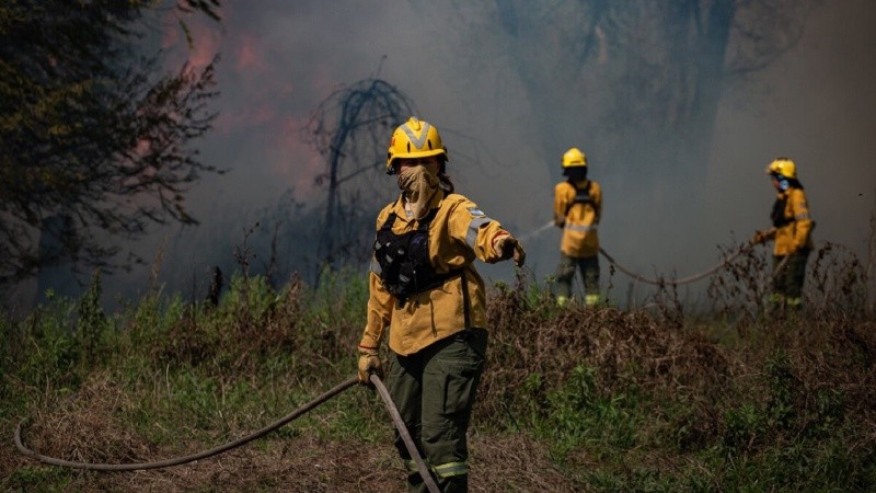 Las partidas presupuestarias para el Servicio Nacional de Manejo del Fuego se encuentran entre las más bajas de los últimos 10 años.