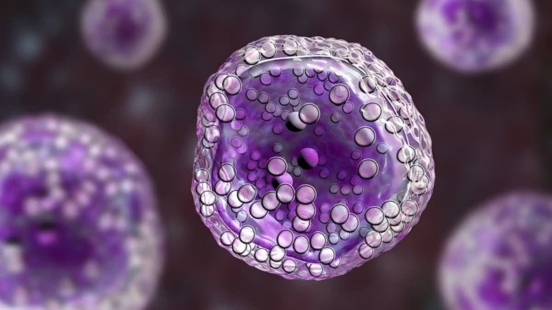 En Argentina, proyecciones de incidencia de mieloma múltiple permiten estimar la existencia de alrededor de 1.300 nuevos casos por año.