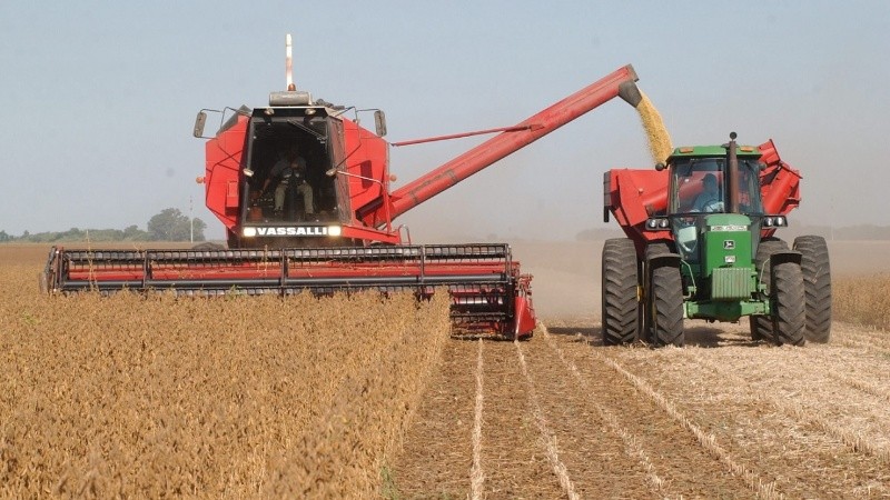 El agro aportó el 60% de los dólares que ingresaron por exportaciones durante el primer semestre de 2025.