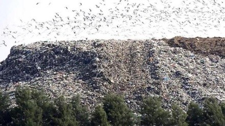 La montaña de basura en Pérez podría ser transformada en combustible.