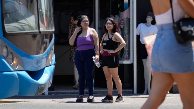 El calor no se banca más.