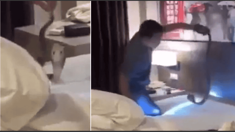 C/2025 K1 (ATLAS) es un cometa del sistema solar que probablemente se formó en la Nube de Oort.