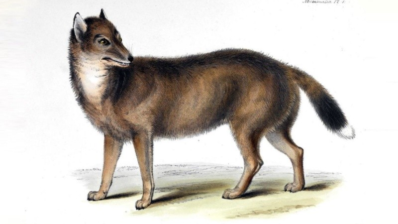 Una de las imágenes más conocidas del 