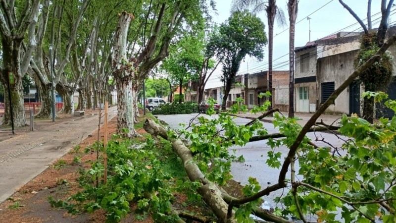 La tormenta dejó algunas zonas afectadas en la ciudad.