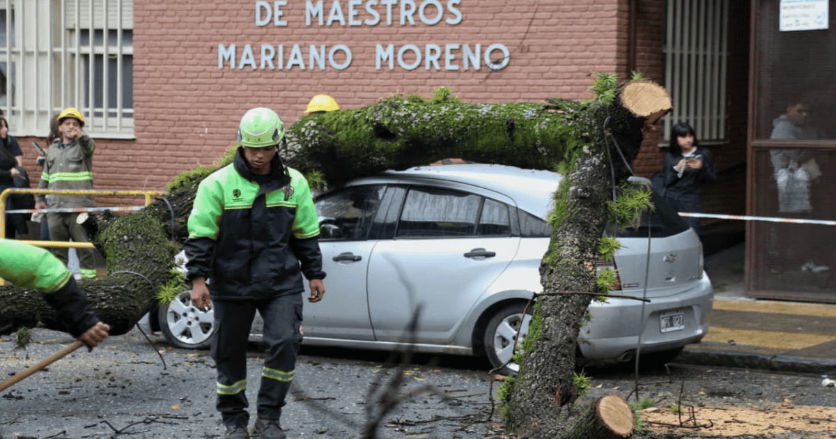 Árbol caído sobre un auto frente al Normal N° 3