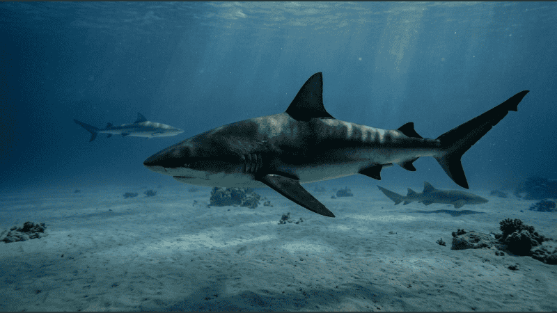 Al menos cinco especies dieron positivo de distintas drogas. (IA/Rosario3)