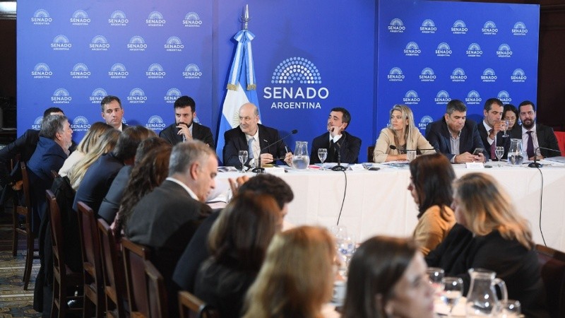 Sturzenegger expuso en el Senado durante un plenario en el que se debatió el proyecto de Inviolabilidad de la Propiedad Privada.