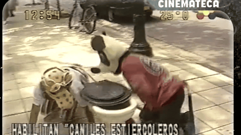 Parte de la performance en la plaza Pringles.