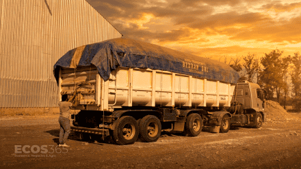 Transportistas de granos