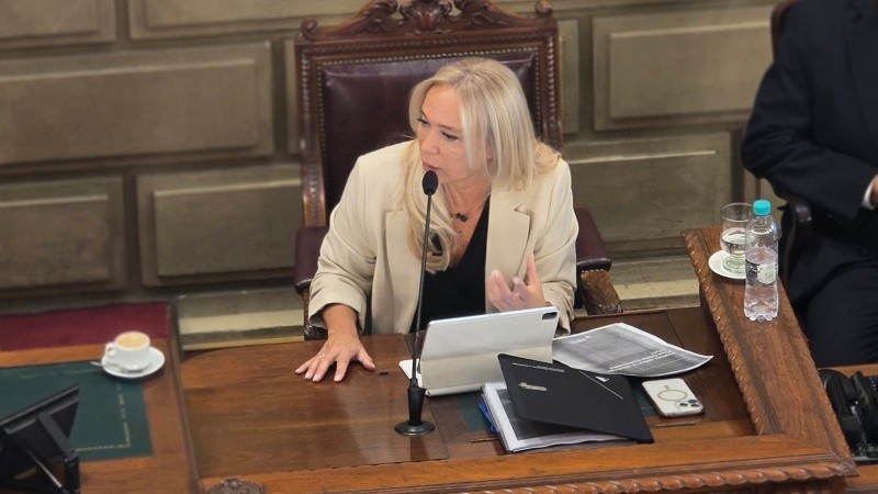 Vranicich pidió evaluar la prohibición de redes sociales a adolescentes.