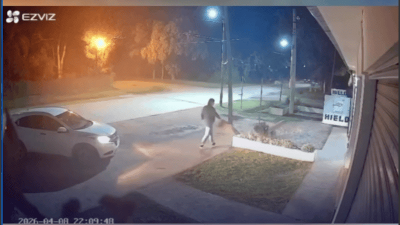 El debate sobre el maltrato animal en Funes vuelve a estar en el centro de la escena.