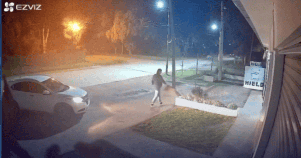 Cámaras de seguridad registraron el abandono de una perra en Funes