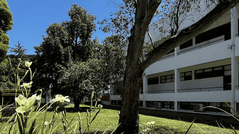 El patio de la facultad de arquitectura de La Plata.
