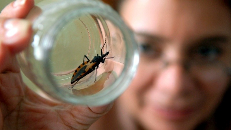 Su mayor contacto con el sistema sanitario, especialmente durante el embarazo, las convierte en una pieza central para la detección temprana y la prevención.