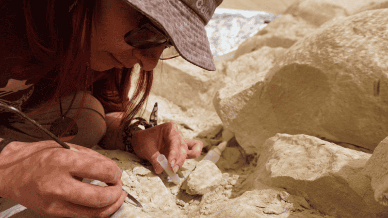 Las tareas de excavación allí requirieron una paciencia quirúrgica por parte del equipo multidisciplinario. (Agencia CTyS-UNLaM)