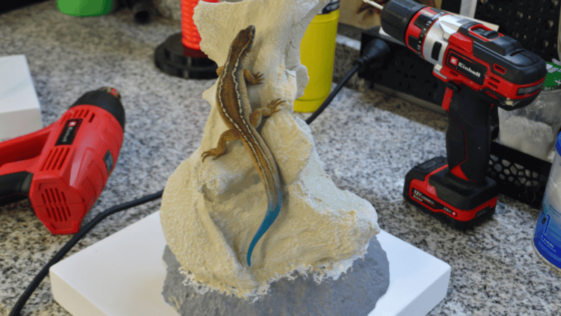 Una recreación de cómo habría sido esta lagartija del Cretácico Superior. (Agencia CTyS-UNLaM)