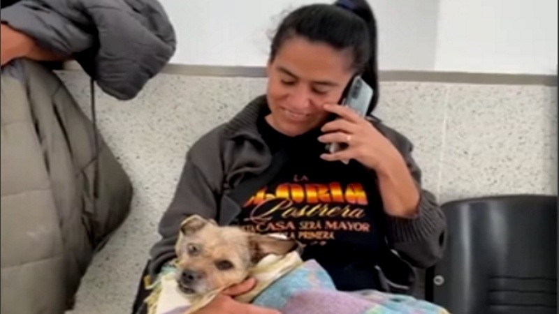 El hospital está destinado a urgencias veterinarias.