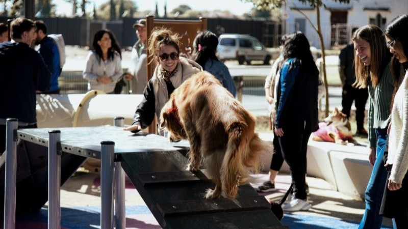 Crédito:&nbsp;Municipalidad/Jonatan Bustos