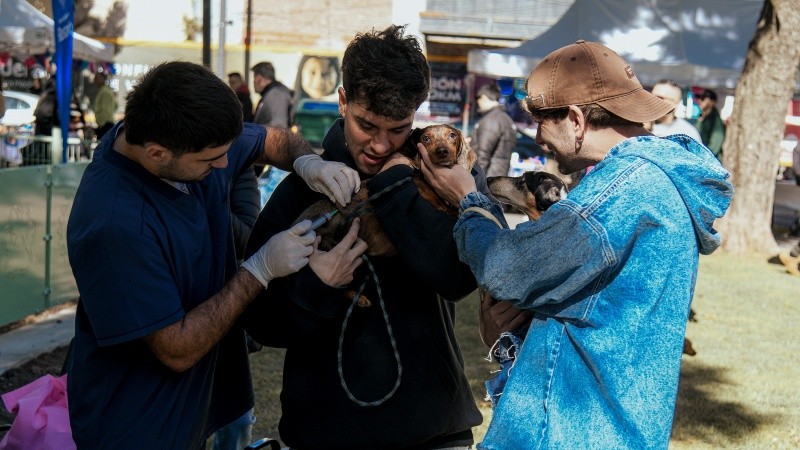 &nbsp;Crédito:&nbsp;Municipalidad/Jonatan Bustos