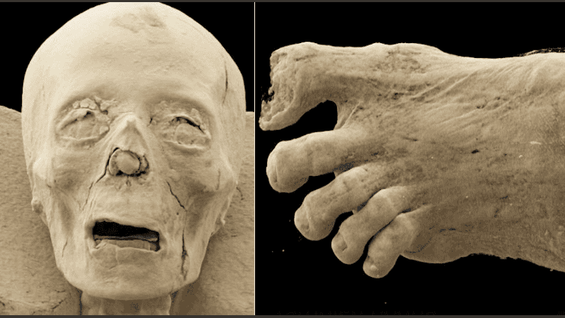 El hallazgo demuestra el valor de tener telescopios en la Antártida.