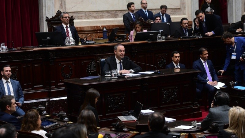 Adorni en la Cámara de Diputados.