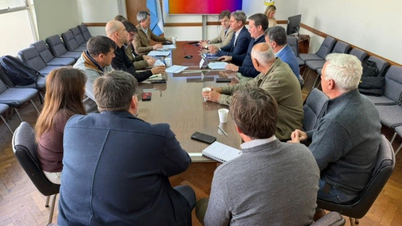 La comisión se reunió este miércoles y aconsejó declarar la emergencia.