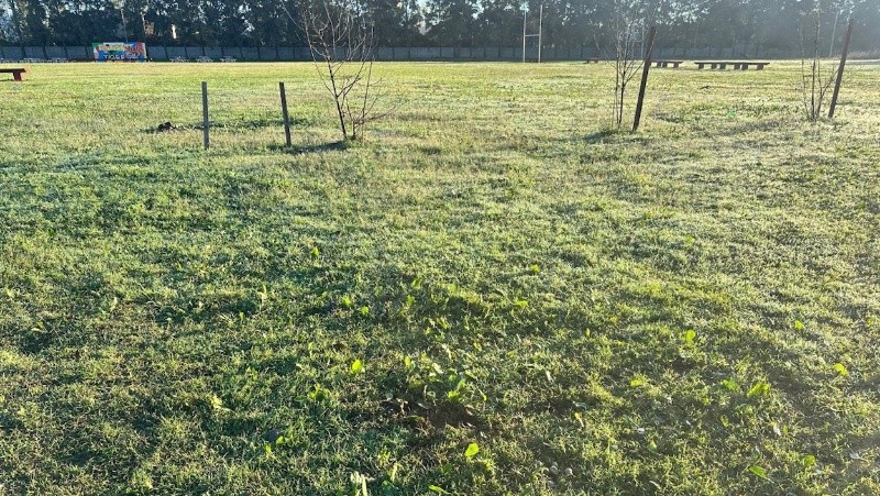 &nbsp;El lugar donde fue baleado Saucedo.