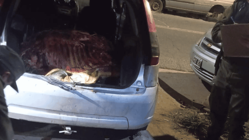 La carne que encontraron dentro del vehículo.