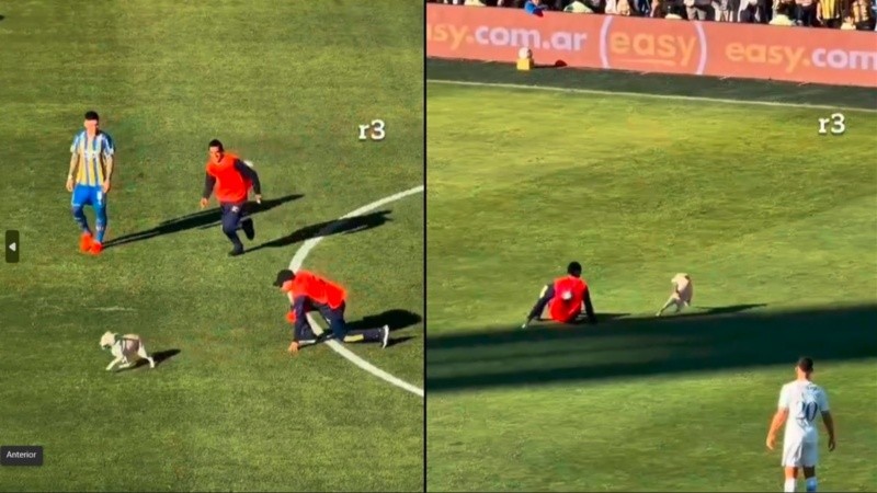 Un inesperado show cómico en medio del partido. (imagen video Rosario3)