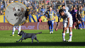Coco dentro del campo de juego. Fotobaires