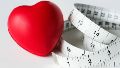 La “memoria de la obesidad” no es permanente y puede atenuarse con el mantenimiento sostenido del peso a lo largo de varios años.