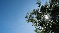 El domingo empezó con frío, pero el Sol será el gran cómplice del día.