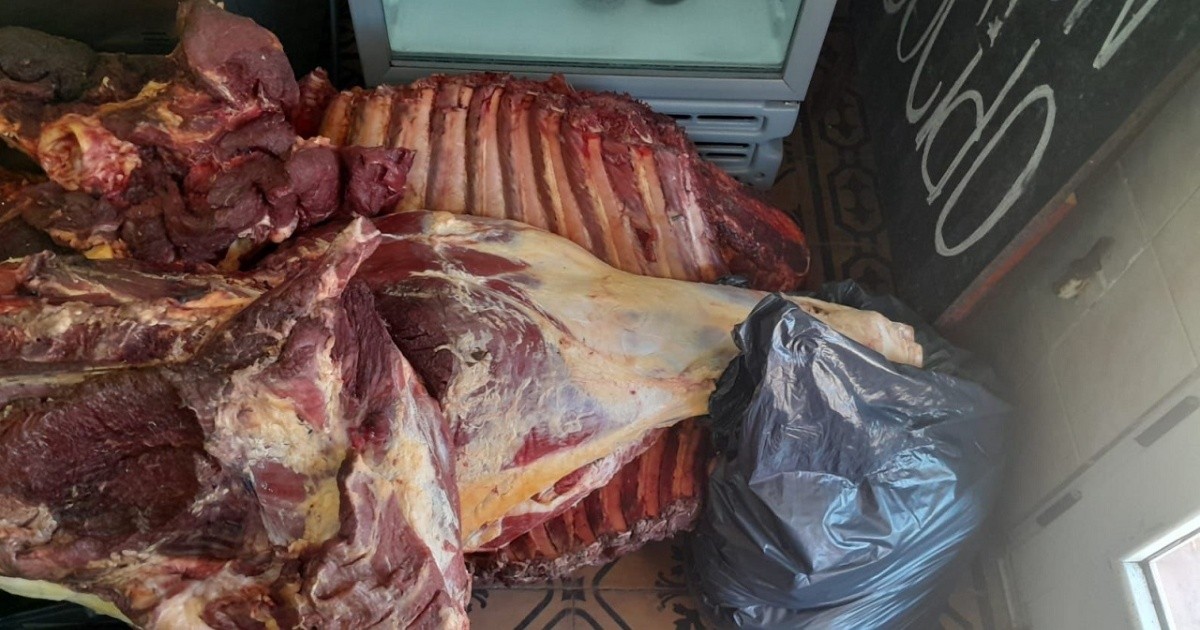 Massive Marijuana Seizure at Serodino Butcher Shop During Cattle Theft Raid